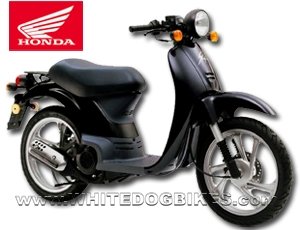 honda sky 50