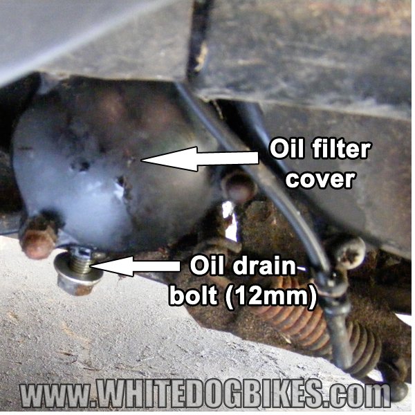 AN125 oil filter drain bolt