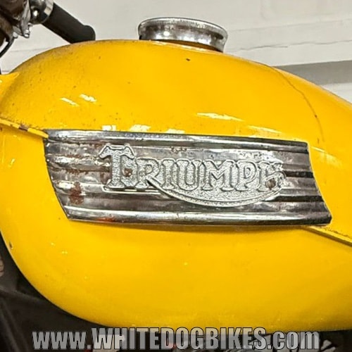 Triumph badge