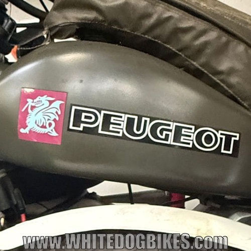 Peugeot badge