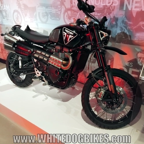 Triumph 1200cc scrambler in black on display