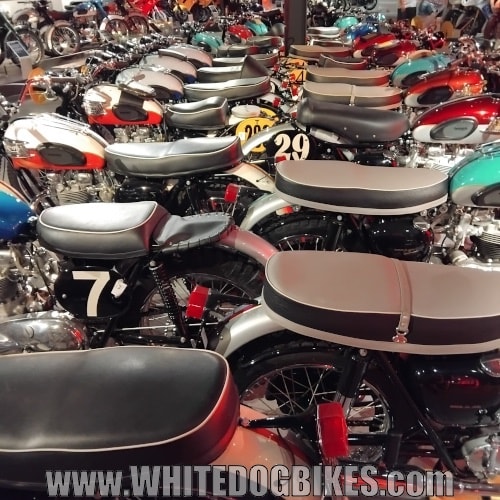 A few more of the Triumph bikes on display downstairs
