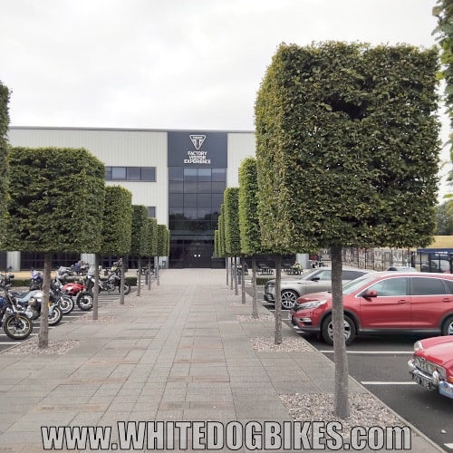 The entrance to the factory visitor experience with the square trees