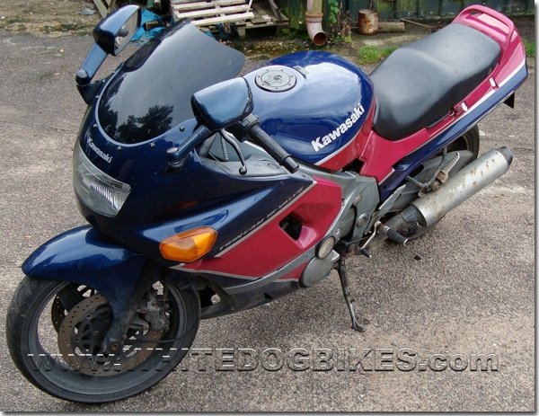 ZZR600 D side view