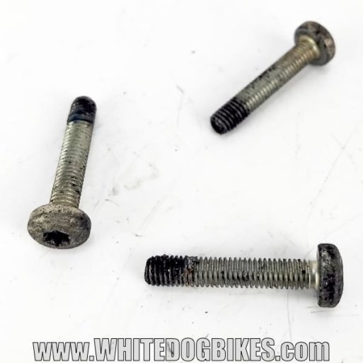 K1100LT screen motor screws