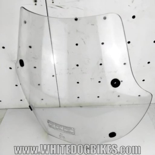 R1100 R screen