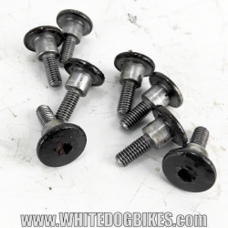 OEM Yamaha FZS600 Fazer 8 used cylinder head cover bolts with marks from use