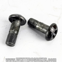 OEM Yamaha FZS600 Fazer used front peg allen key mounting bolts
