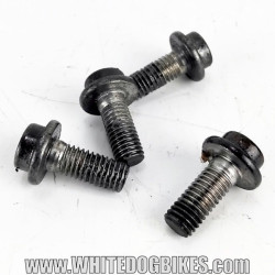 OEM Yamaha FZS600 Fazer used front peg hanger mounting bolts