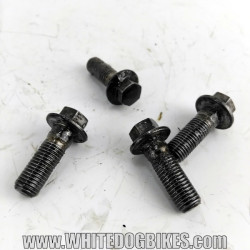 OEM Yamaha FZS600 Fazer used front brake caliper bolts removed from bike