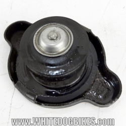 Yamaha FZS600 Fazer Radiator Cap | Quality Used Motorcycle Part