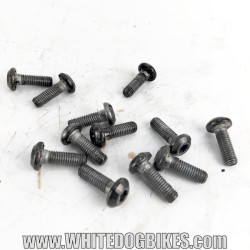 Yamaha FZS600 Fazer set of 12 used front brake disc bolts with intact threads