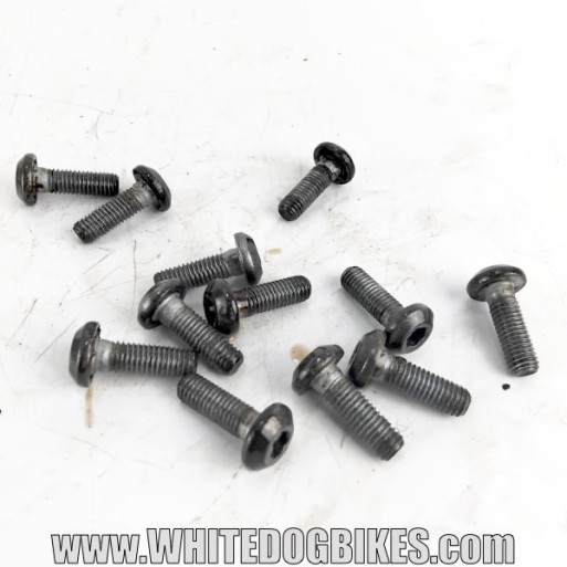 Yamaha FZS600 Fazer set of 12 used front brake disc bolts with intact threads