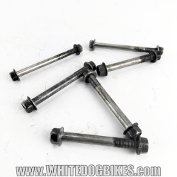 OEM Yamaha FZS600 Fazer used front engine mounting bolts and nuts removed from the bike
