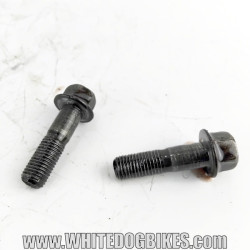 OEM Yamaha FZS600 Fazer used rear brake caliper bolts removed from the bike