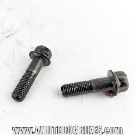 OEM Yamaha FZS600 Fazer used rear brake caliper bolts removed from the bike