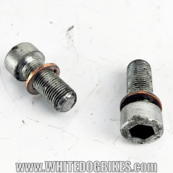 OEM Yamaha FZS600 Fazer used fork drain bolts in chrome with marks from use