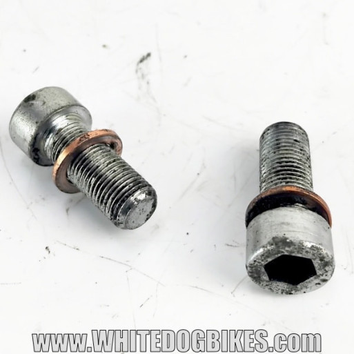 OEM Yamaha FZS600 Fazer used fork drain bolts in chrome with marks from use