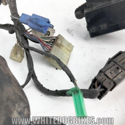 Yamaha FZS600 Fazer Wiring Harness | Quality Used Motorcycle Part