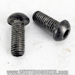 OEM Yamaha FZS600 Fazer used rear brake cylinder mounting bolts with marks from use