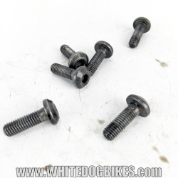 OEM Yamaha FZS600 Fazer used rear brake disc mounting bolts with marks from use