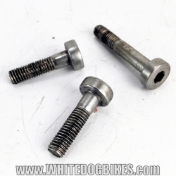 OEM Peugeot Tweet RS 125 used passenger grab rail and luggage rack mounting bolts