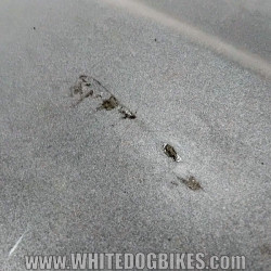 Peugeot Tweet RS Front Fairing Panel | Quality Used Motorcycle Part