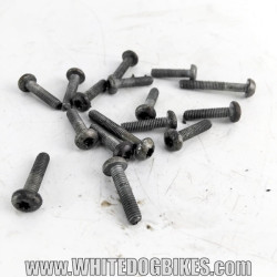 OEM Triumph Trophy 900 used engine oil sump torx bolts with marks from use