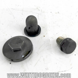 Genuine Peugeot Tweet RS 125 used engine oil brain bolt, oil filter and filter cover