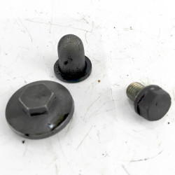 Genuine Peugeot Tweet RS 125 used engine oil brain bolt, oil filter and filter cover