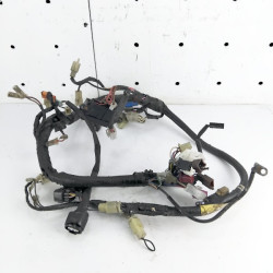 OEM Yamaha FZS600 Fazer used wiring harness in black with the original electrical connectors