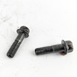 OEM Yamaha FZS600 Fazer used rear brake caliper bolts removed from the bike