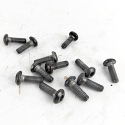 Yamaha FZS600 Fazer set of 12 used front brake disc bolts with intact threads