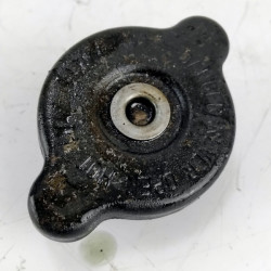 OEM Yamaha FZS600 Fazer used thermostat cap with rubber seal removed from bike