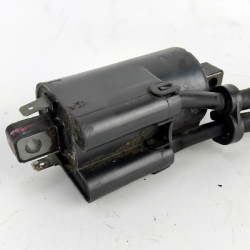 Yamaha FZS600 Fazer Coil 2 and 3 Cylinders | Quality Used Motorcycle Part
