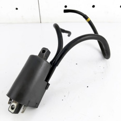 OEM Yamaha FZS600 Fazer tested and working spark plug coil for 1 and 4 cylinders