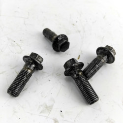 OEM Yamaha FZS600 Fazer used front brake caliper bolts removed from bike