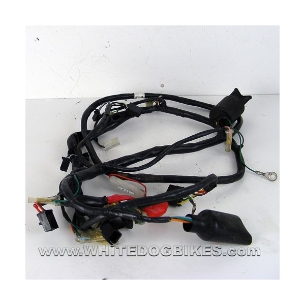 2000 Honda SGX50 Sky Electrical Wiring Loom