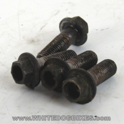 2002 Yamaha YZF-R1 5PW Front Brake Caliper Mounting Bolts (x4)