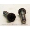 1989 Honda MTX HRC 125 Bottom Fork Drain Bolts