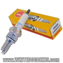 NGK CR8EH-9 Spark Plug (1x)