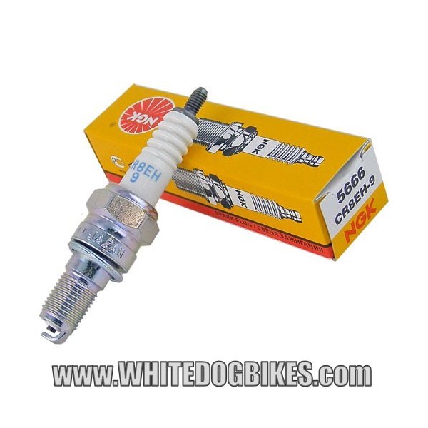 NGK CR8EH-9 Spark Plug (1x)