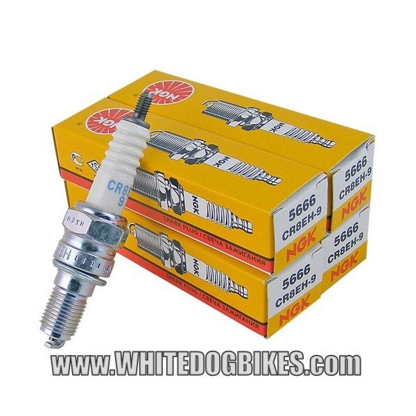 4 x NGK CR8EH-9 Spark Plug (set of 4 plugs)