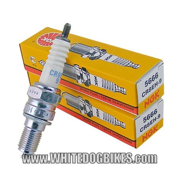 93-03 Honda CB500 Spark Plugs - 2 x NGK CR8EH-9