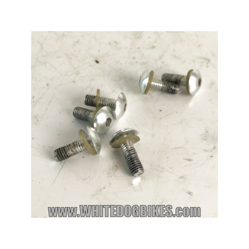 1994 Yamaha XJ600 S Diversion Screen Bolts (6x)