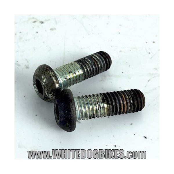 XJ600 Diversion brake cylinder bolts