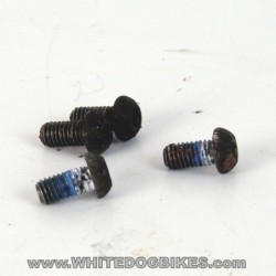 2002 Yamaha YZF-R1 5PW Heel Guard Mounting Screws (x4)