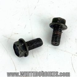 1999 Kawasaki GPZ500 D6 Pillion Grab Handle Bolts - EX500