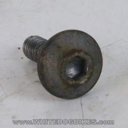 2002 Yamaha YZF-R1 5PW Front Mudguard Bolts (x4)