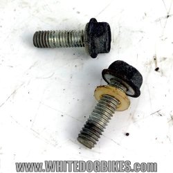 1999 Kawasaki GPZ500 Fuel Tap Bolts - EX500 Petrol Tap Screw